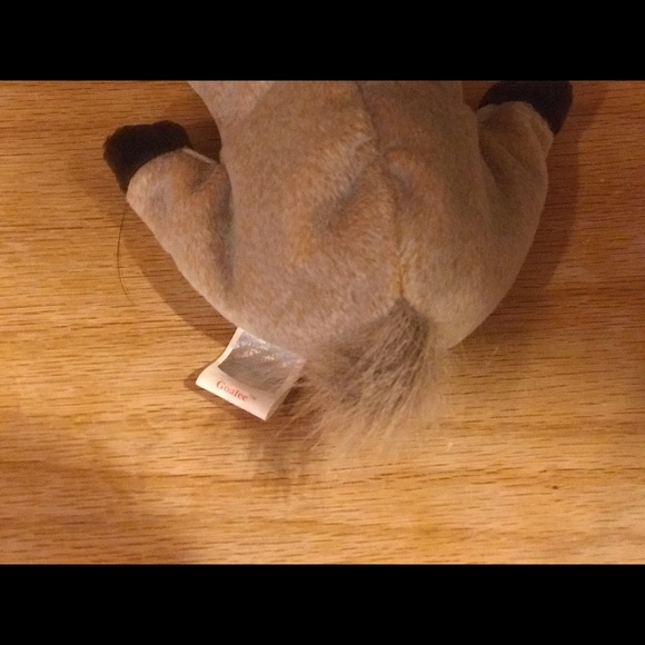 1998 Goatee Beanie Baby Collectors item - Picture 3 of 5